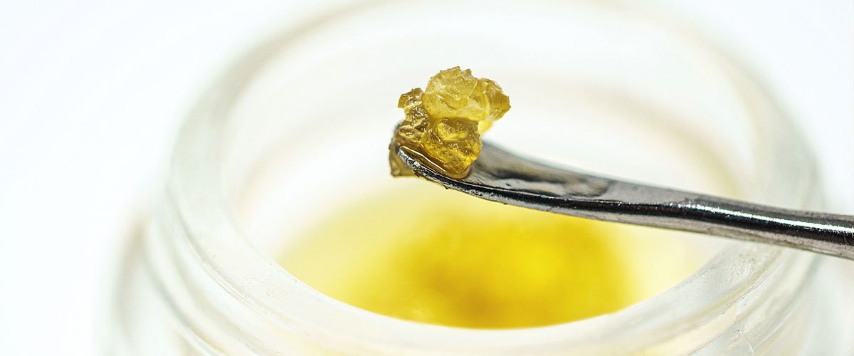 Endocannabinoid System